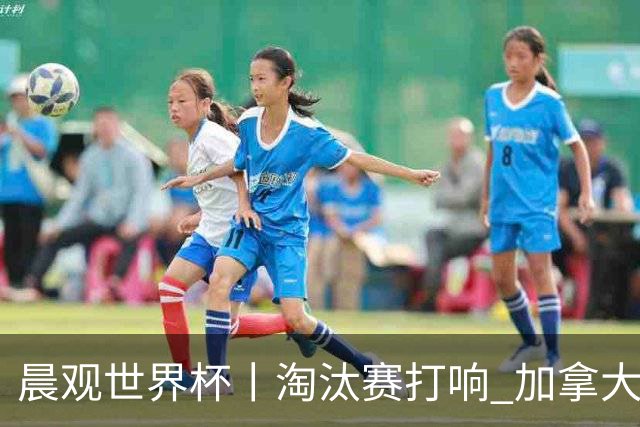 晨观世界杯丨淘汰赛打响 加拿大“绝杀”首进16强